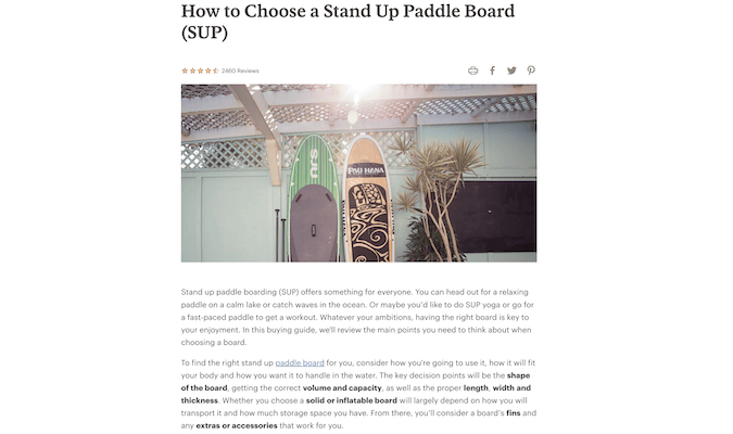 Captura de pantalla del sitio web de REI: cómo elegir un blog de stand up paddleboard.