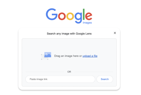 Buscador de imágenes de Google 