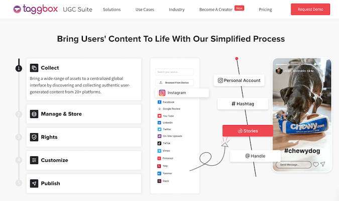 Steps for how to bring users' content to life on Taggbox website. 