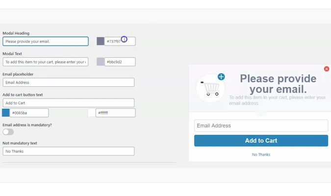 Form to create a popup during checkout. 