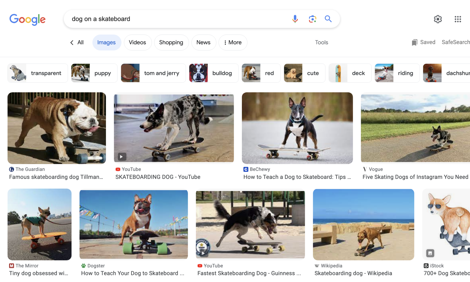 dog on a skateboard: Google search